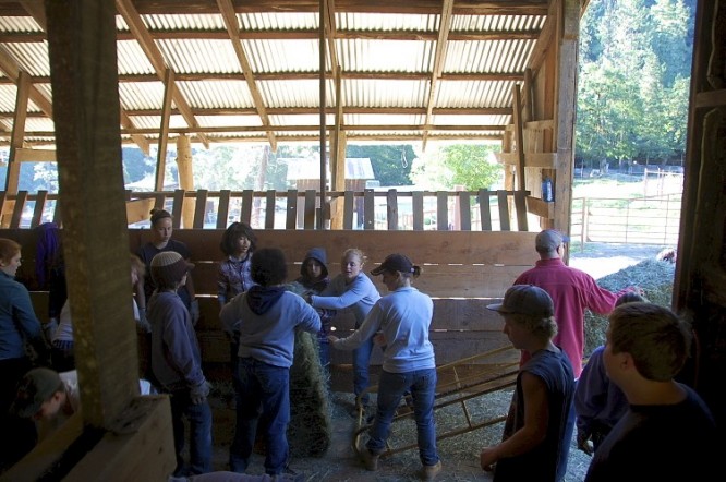 campers help load the barn with hay bails for the winter