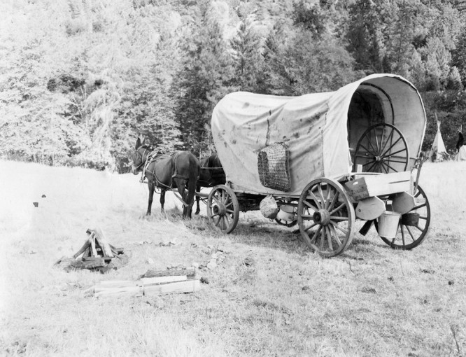 Covered wagon pulled by two mules