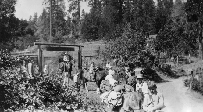 Campers, staff, and loaded pack mules on the road in front of Camp,1930's.