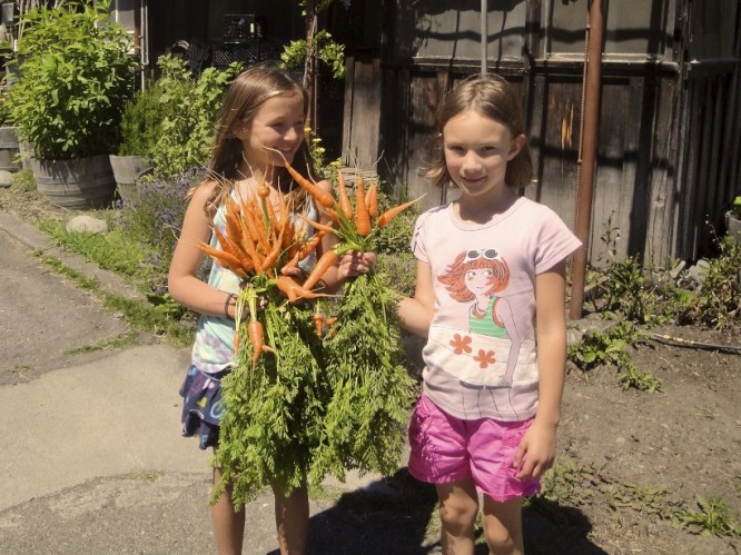 campers hold huge bundles of fresh picked carrots