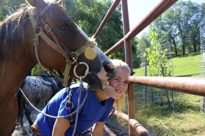 Horse liking the face of a smiling camper