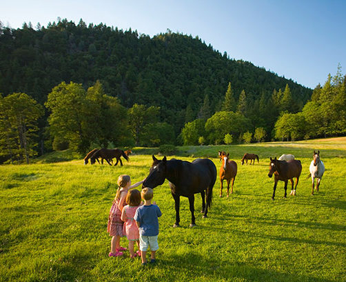 Young children pat a horse on the nose in the pasture.