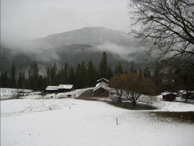 Winter on the Ranch