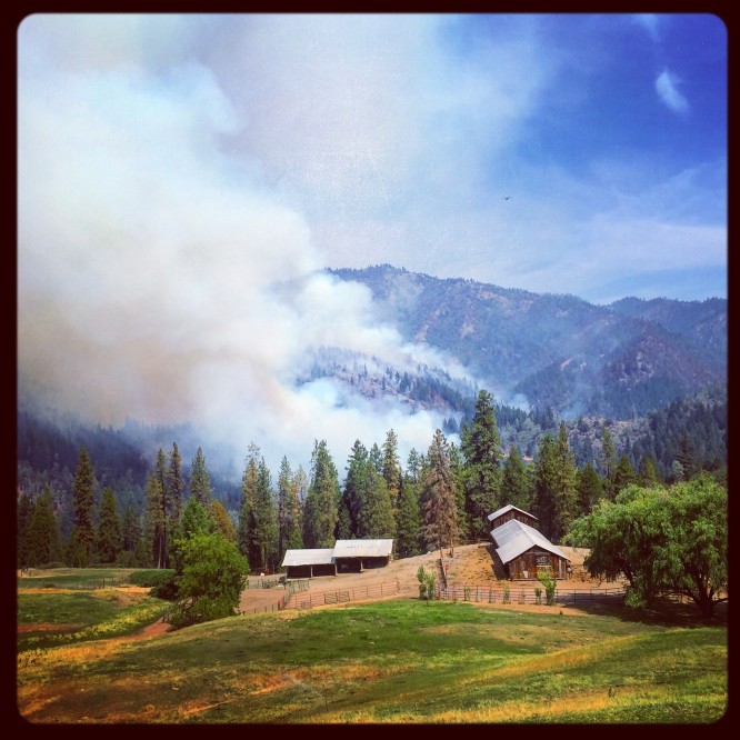 The Pattison Fire - Part of the South Complex burns on Gates Mountain