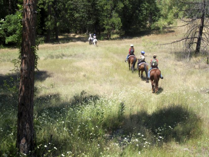 Campers with backpacks ride on horseback through a field