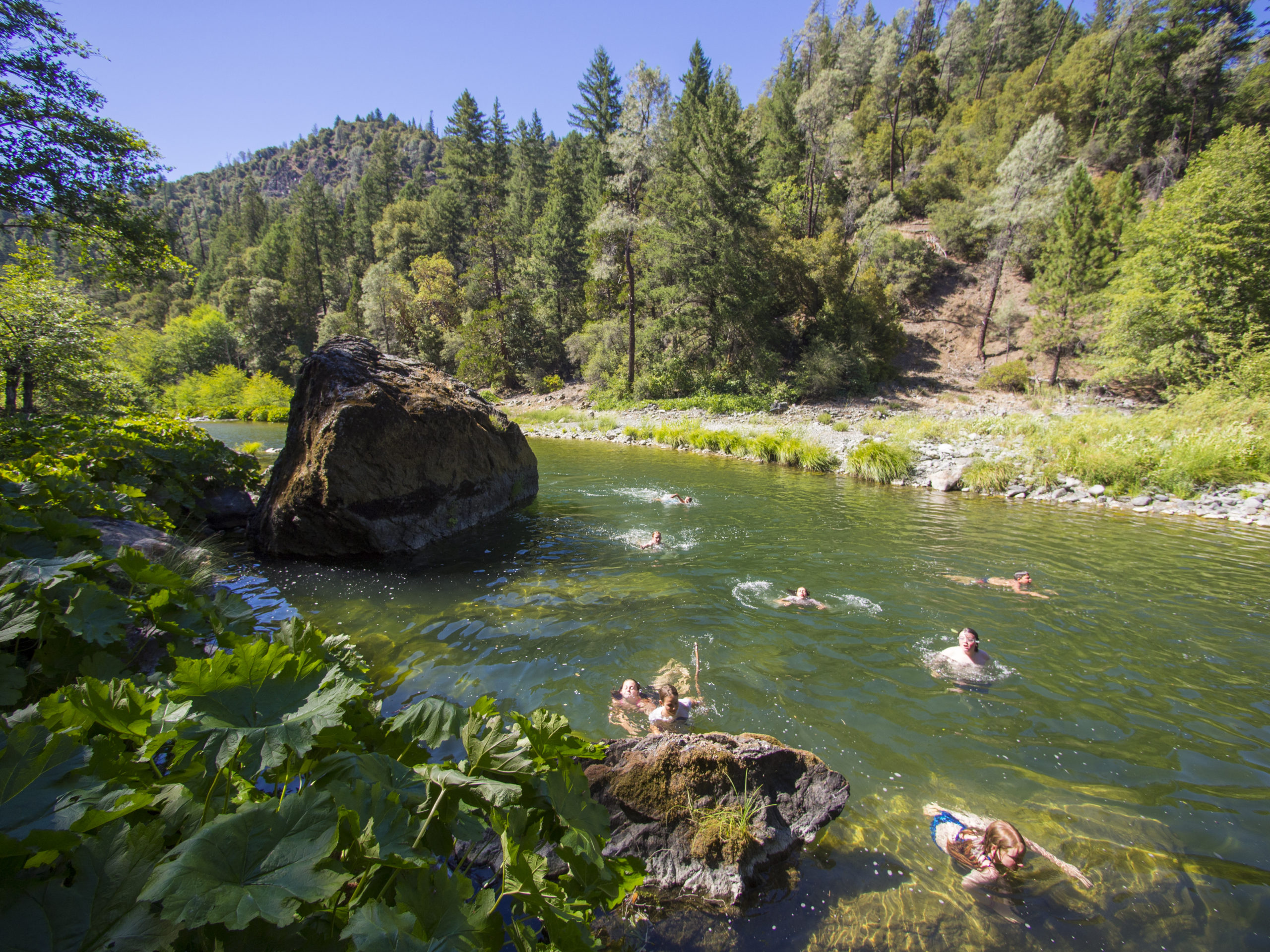 Campers swim in Hayfork Creek