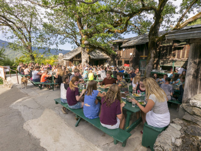 People eating meal at large green picnic tables